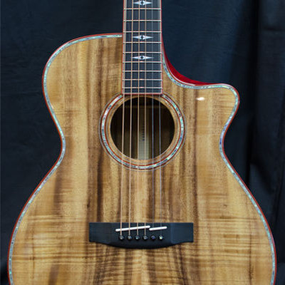 Rox-CL8 model