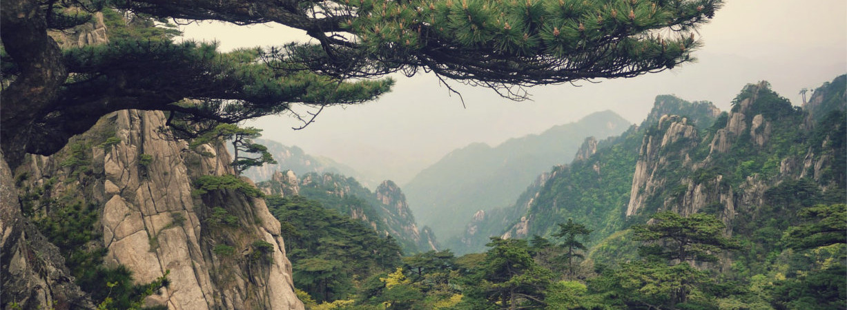 Chinese nature